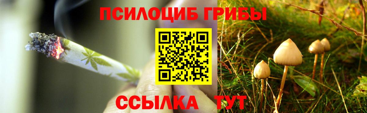Невинномысск  Галлюциногенные грибы Psilocybe  Галлюциногенные грибы Magic Shrooms  Вход с VPN 